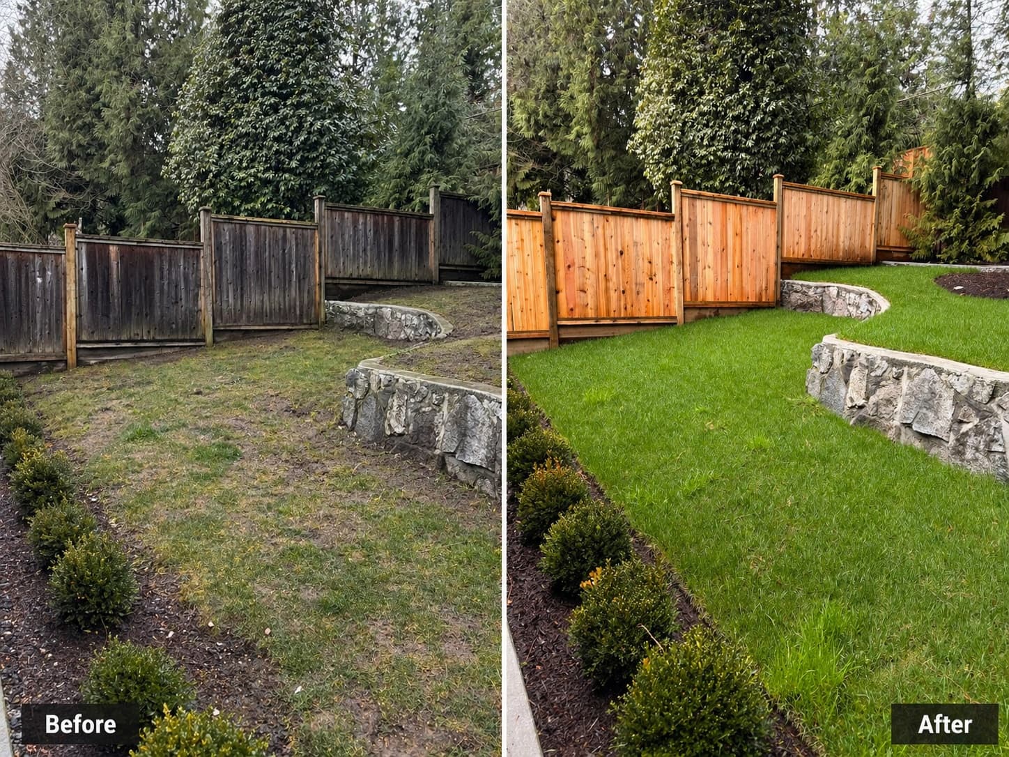 Fence Refinishing Project in Greater Vancouver